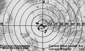 Wind Rose