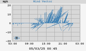 Wind Vector